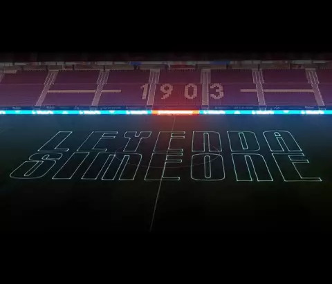Paraddax